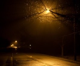 December fog December fog